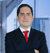 Fermín Lecumberri Cano - Garrigues