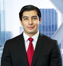 Oscar Alberto Duran Ramírez - Garrigues