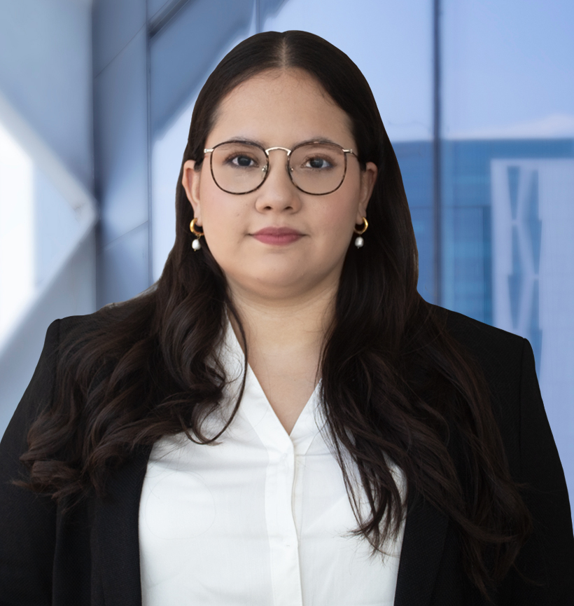 Marcia Areli Flores Romero - Garrigues